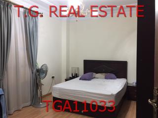TGA11033