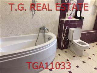 TGA11033
