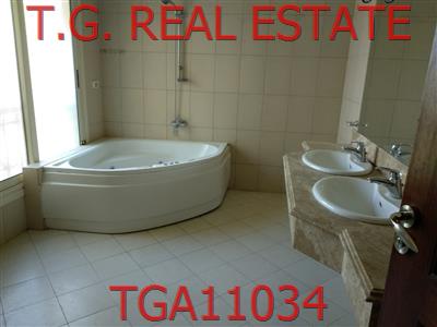 TGA11034