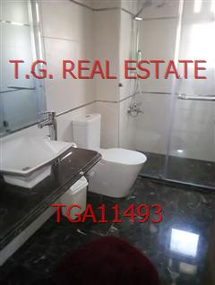 TGA11493