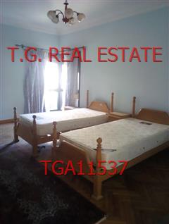 TGA11537