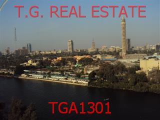 TGA1301