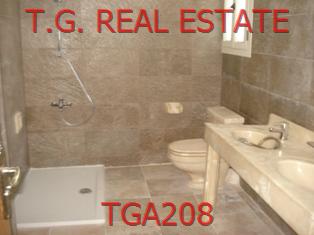 TGA208