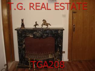 TGA208