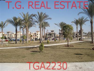 TGA2230