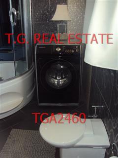 TGA2460