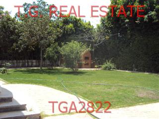 TGA2822
