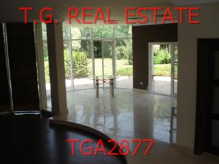 TGA2877