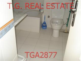 TGA2877