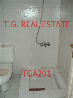 TGA291