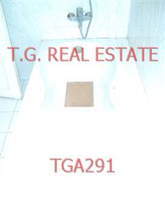 TGA291