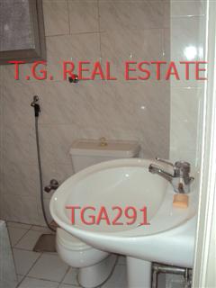 TGA291