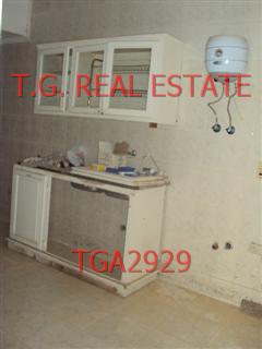 TGA2929