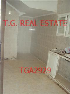 TGA2929