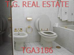 TGA3186