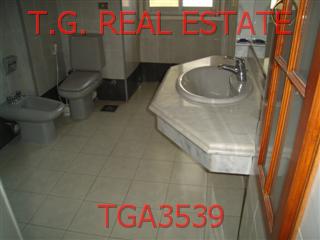 TGA3539