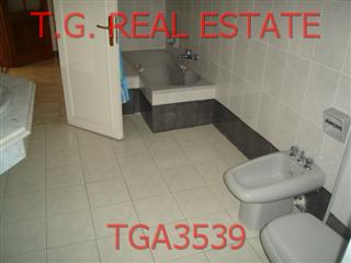 TGA3539