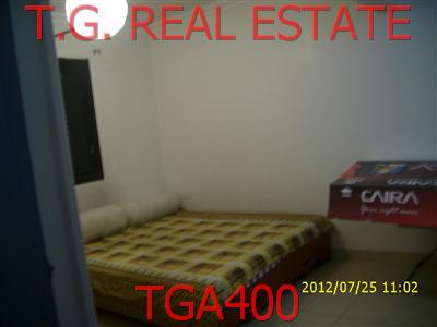 TGA400