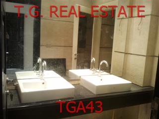 TGA43