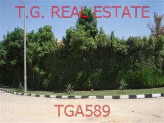 TGA589