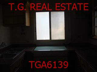 TGA6139