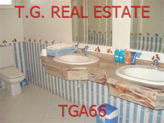 TGA66