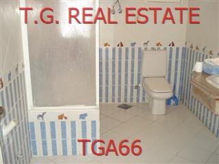 TGA66