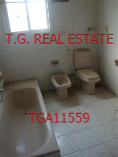 TGA11559