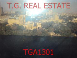 TGA1301