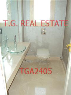 TGA2405