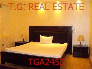 TGA2453