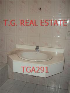 TGA291