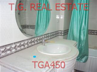 TGA450